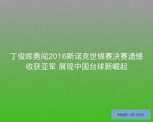 丁俊晖勇闯2016斯诺克世锦赛决赛遗憾收获亚军 展现中国台球新崛起